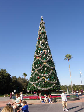 Large christmas tree at the studios