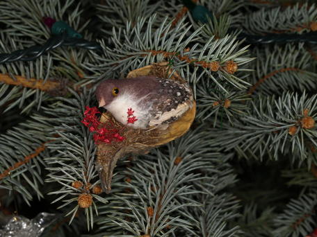 Bird ornament