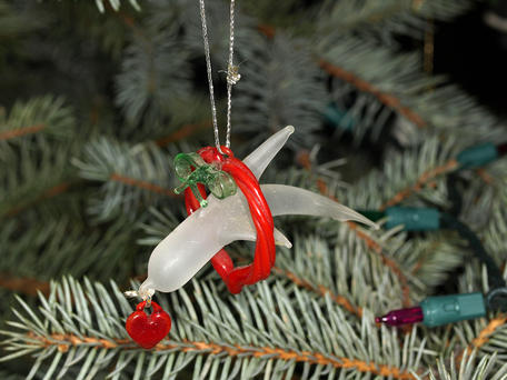 Dolphin ornament
