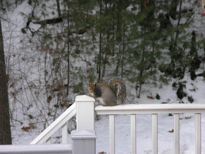 Are you still there?