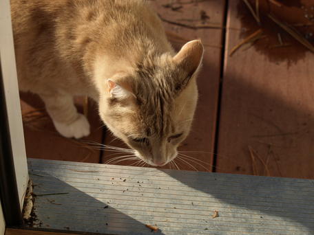 Do I want to come in?