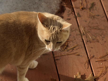 No thanks, I'll use the other door.