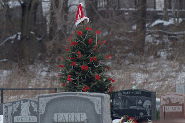 Decorated graveyard tree