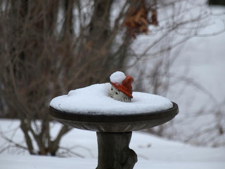 Snowy gnome