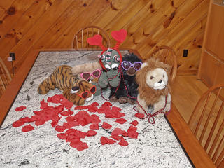 Valentines day animals