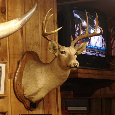 Deer head