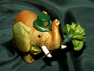 Saint Patricks elephant