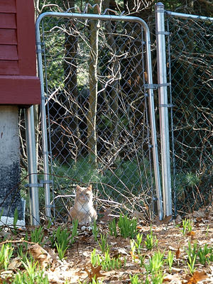 Wrong side of the fence