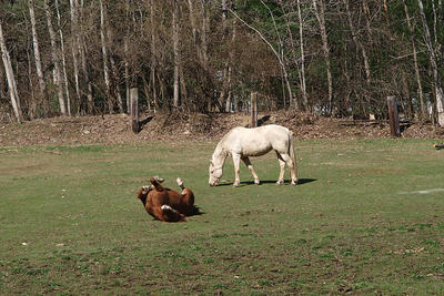 I've got an itchy back