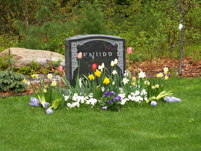 Spring in the graveyard #3