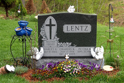 Spring in the graveyard #4