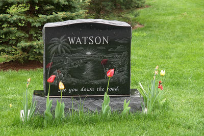 Spring in the graveyard #5