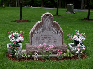 Spring in the graveyard #6