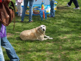 Can I please go home?