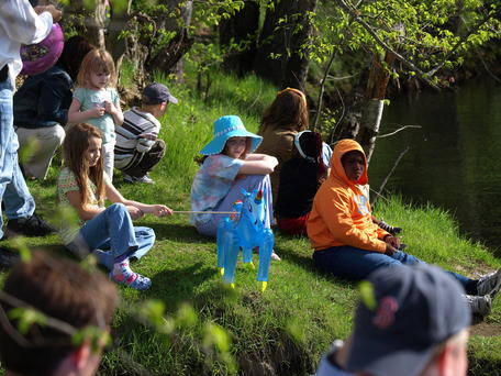 Waiting for the ducks