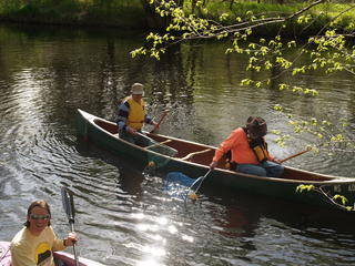 Scooping up the ducks