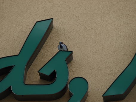 Bird nesting on Donelans sign