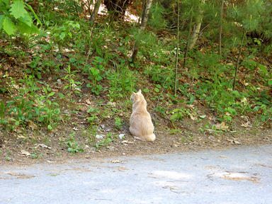 Something is fascinating