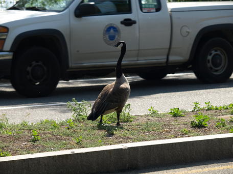 What is with the traffic?