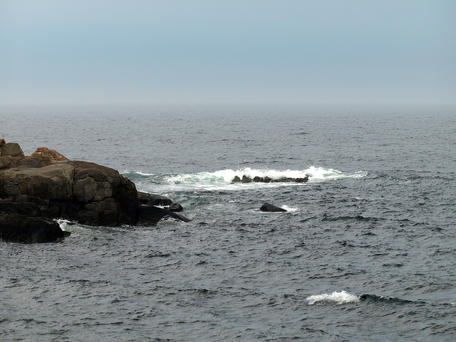 Maine waves