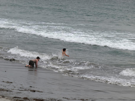 The young and the hardy