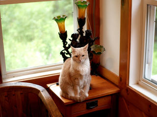 Why are you taking my picture?