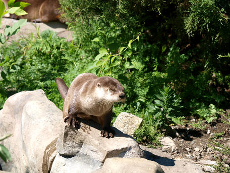 Coffee, I need coffee!