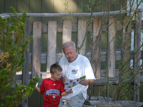 What should we do next?