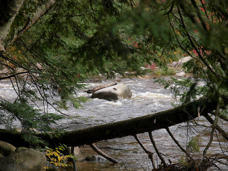 Flowing stream along the Kancamagus scenic byway