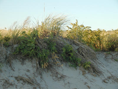 Dunes