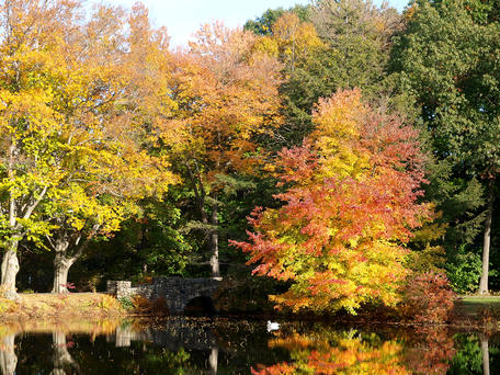 Andover cemetary in fall #5