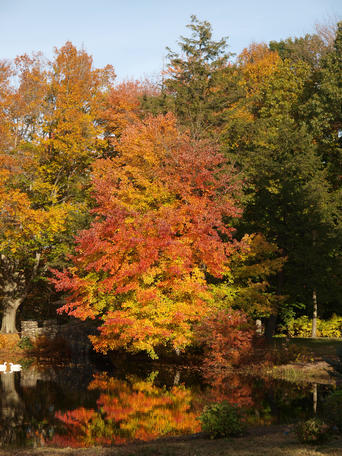 Andover cemetary in fall #6
