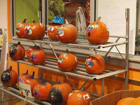 Painted pumpkins