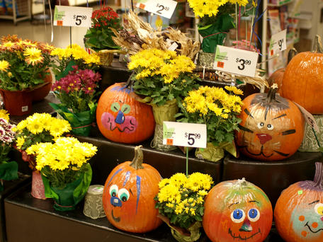 Painted pumpkins #2