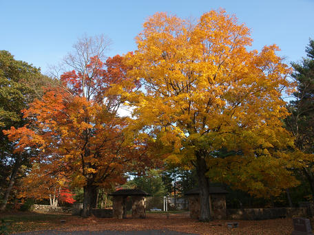Andover cemetary in fall #9