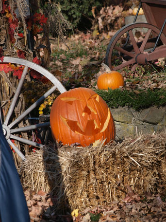 Halloween pumpkins #4