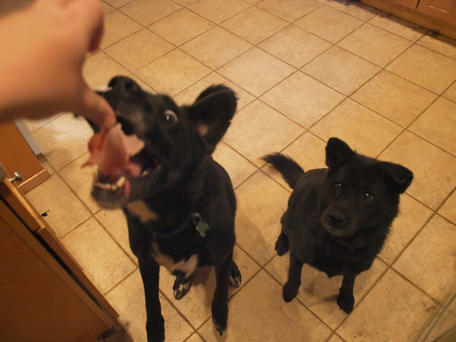 Watch those fingers!