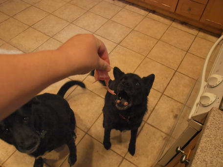 Watch those fingers! #2