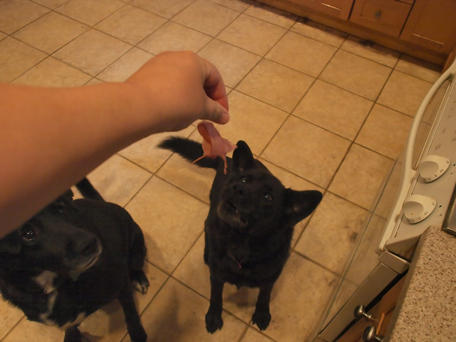 Watch those fingers! #3