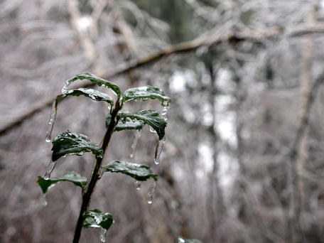 Ice storm #2