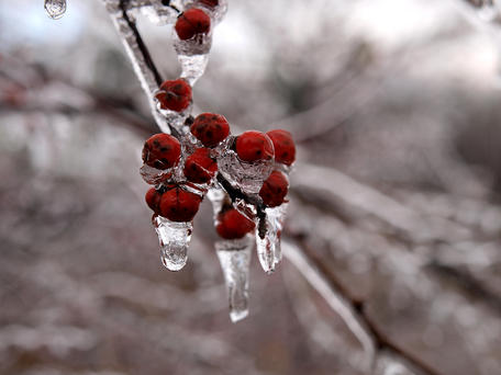 Ice storm #6