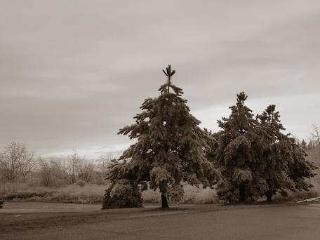 Old fashioned ice storm