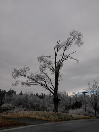 Ice storm #7