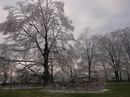 Ice storm #9