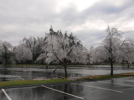 Ice storm #10