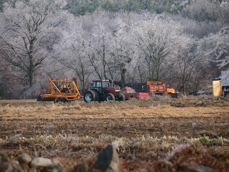 Waiting for spring #2