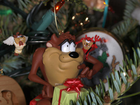 Is Taz naughty or nice?