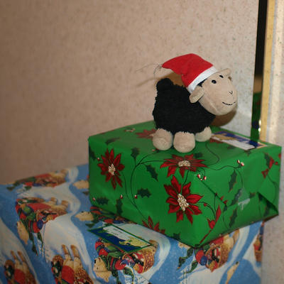 Babamoo with a christmas hat #2