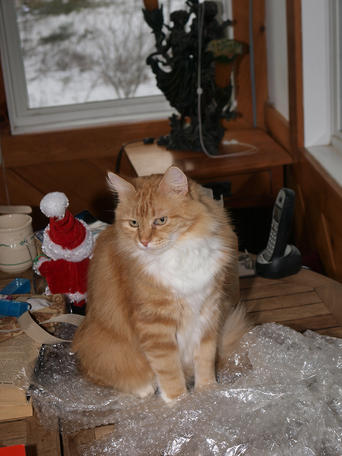 America and the bubble wrap #2