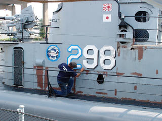 Painting the lionfish